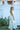 Pastel teal tween formal outfit with ivory lace detail Tea Princess- standing in garden
