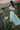 Eve Set pale mint lace tween set by Tea Princess with flowy skirt