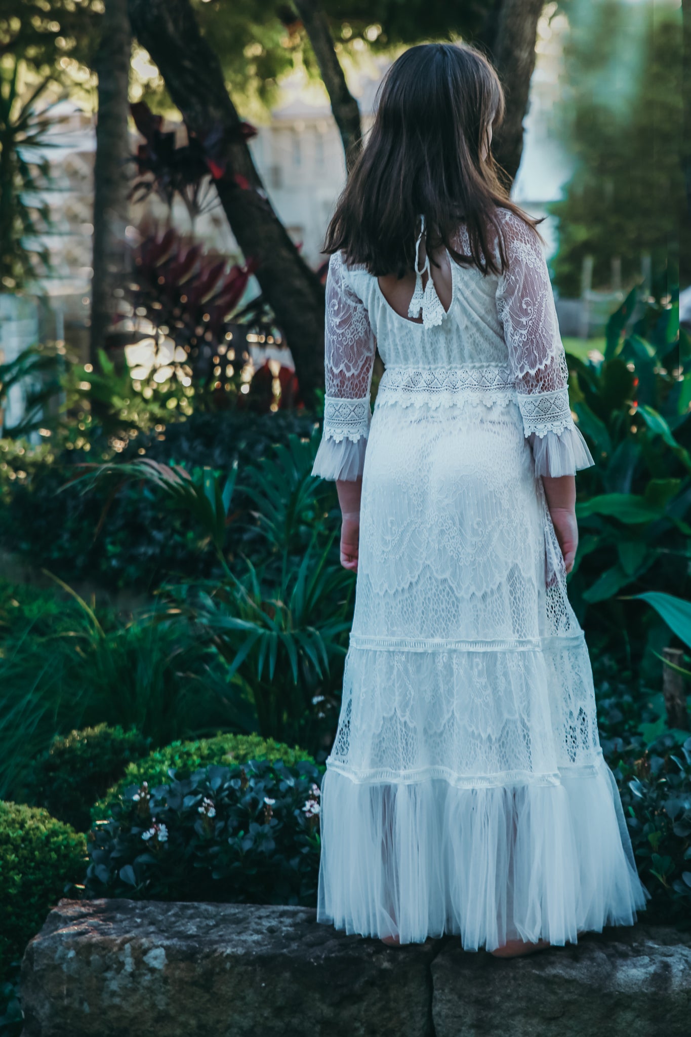 Lily lace hotsell dress